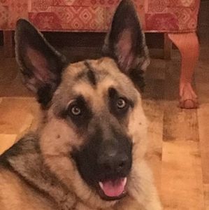 Meet your Posher, Joyce